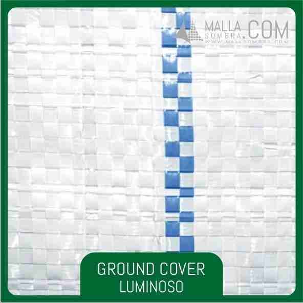 Ground Cover Luminoso - Imagen 2