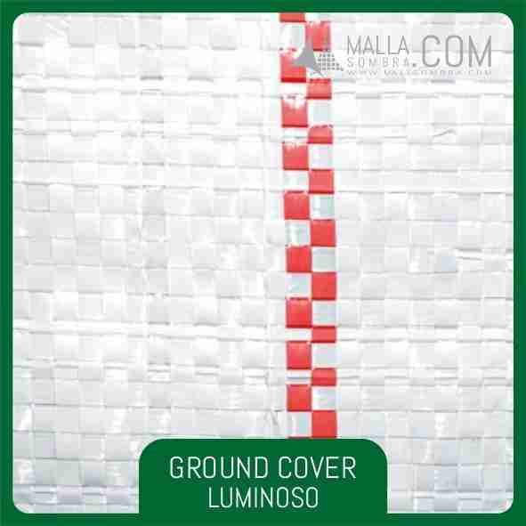 Ground Cover Luminoso