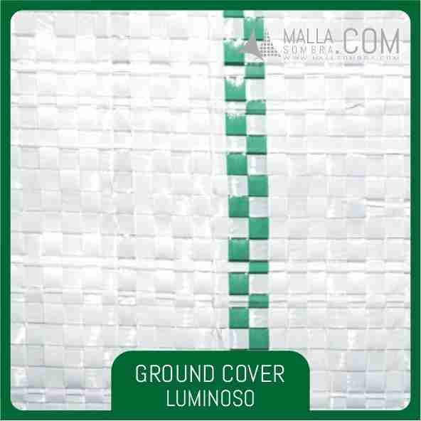 Ground Cover Luminoso - Imagen 4