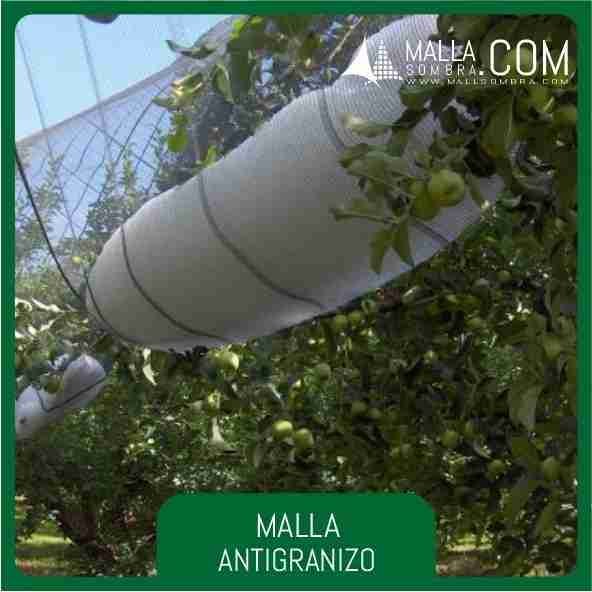 Malla Antigranizo Reforzado - Imagen 4