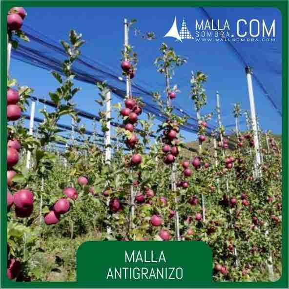 Malla Antigranizo Reforzado - Imagen 2