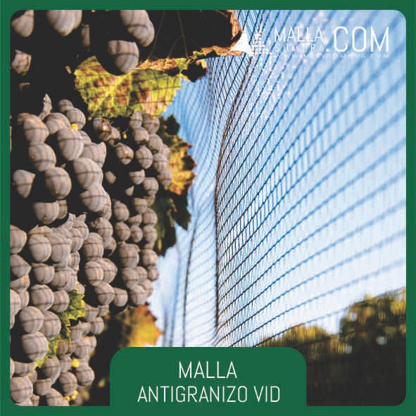 Malla Antigranizo Vid - Imagen 3