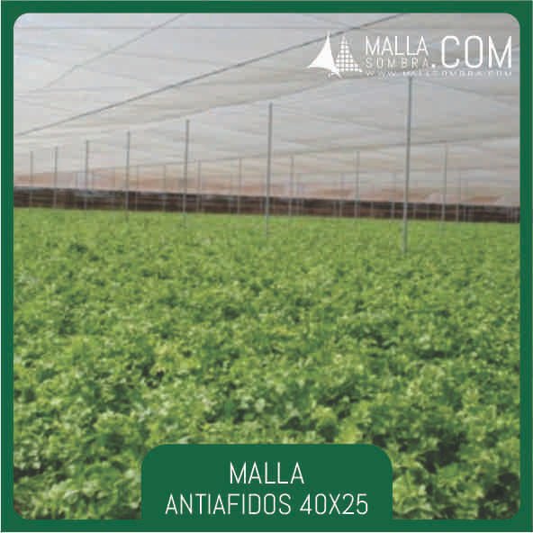 Malla Antiafidos 40x25 Mesh - 16x10cm² - Imagen 3