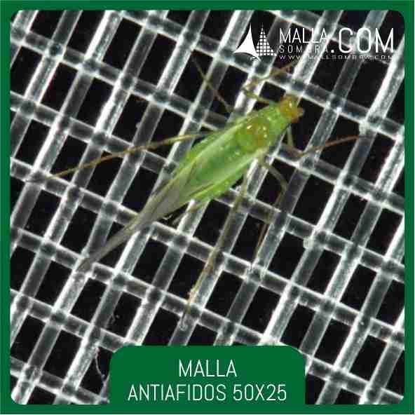 Malla Antiafidos 50x25 Mesh - 20x10cm² - Imagen 2