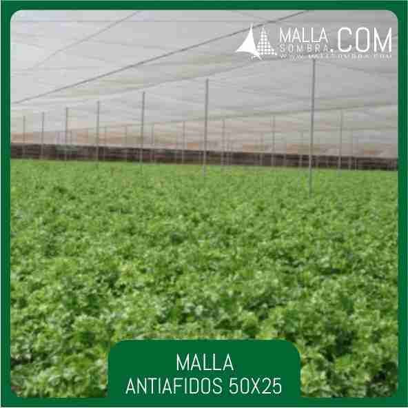 Malla Antiafidos 50x25 Mesh - 20x10cm² - Imagen 3