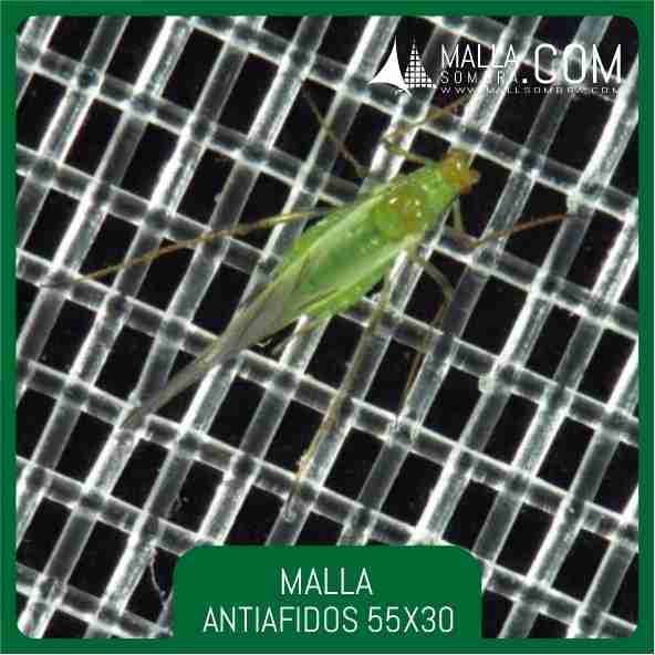 Malla Antiafidos 55x30 Mesh - 22x12cm² - Imagen 2
