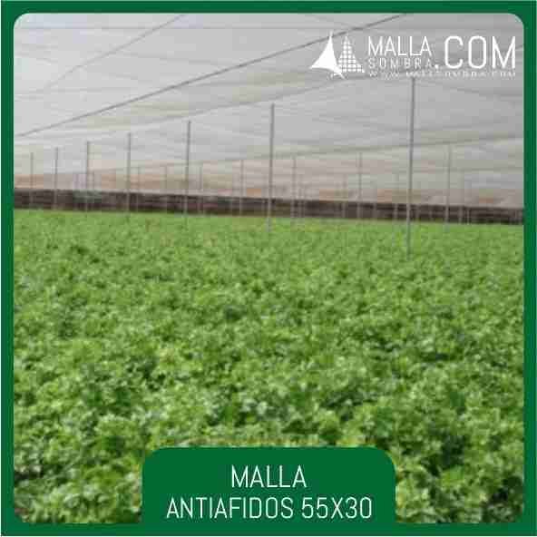 Malla Antiafidos 55x30 Mesh - 22x12cm² - Imagen 3