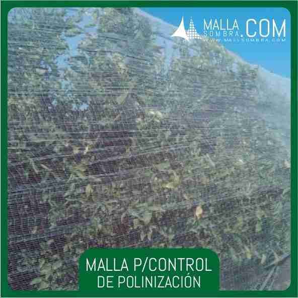 Malla Para Control de Polinización - Imagen 3