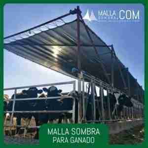 Malla Sombra para Ganado