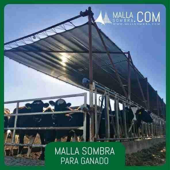 Malla Sombra para Ganado