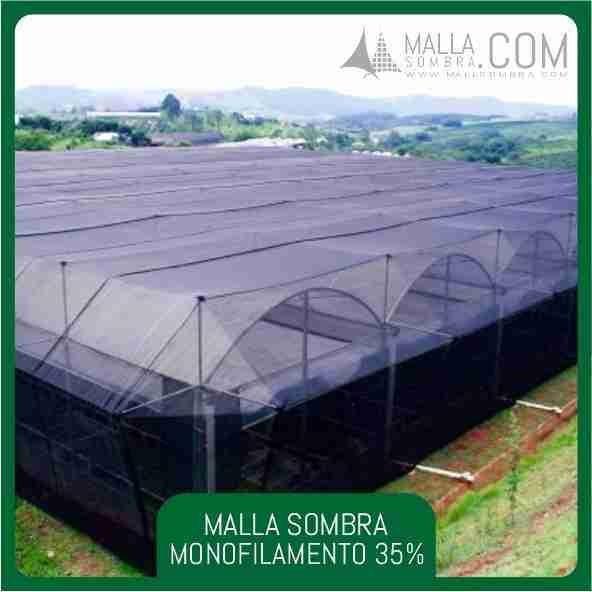 35% Malla Sombra Monofilamento - Imagen 3