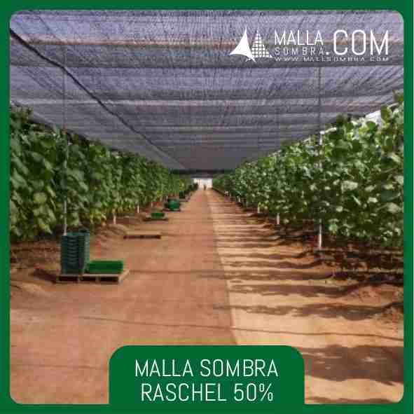 50% Malla Sombra Raschel - Imagen 2